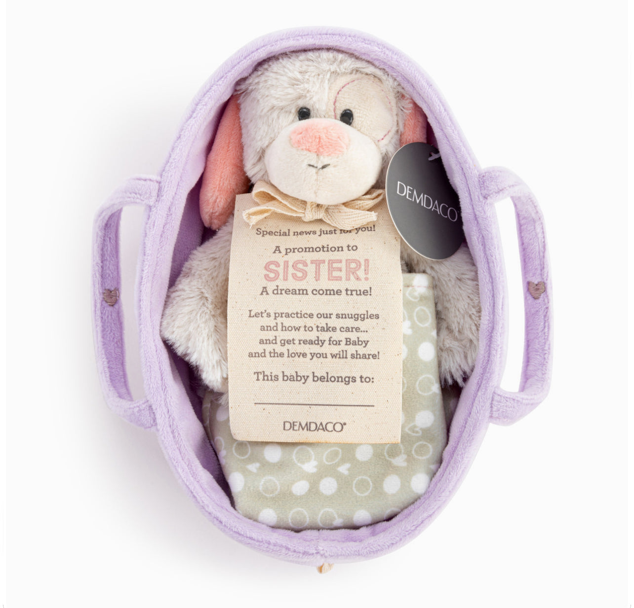 Big Sister Prep Kit