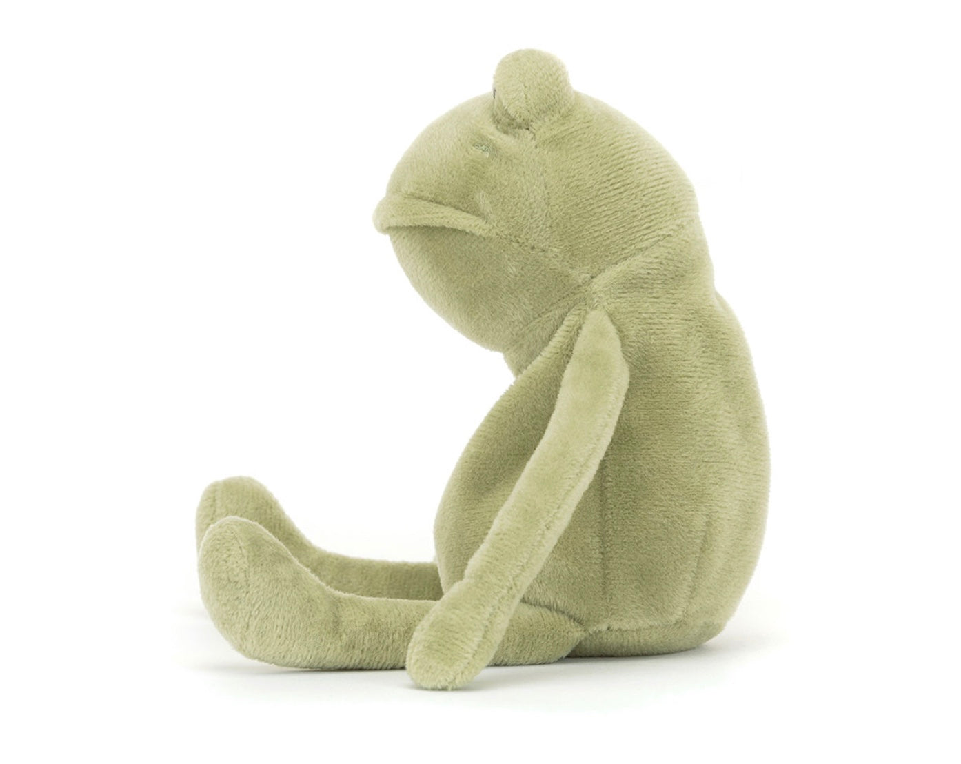 Fergus Frog