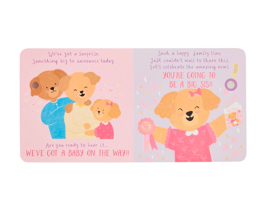 Somebody is Going to be a Big Sis Book