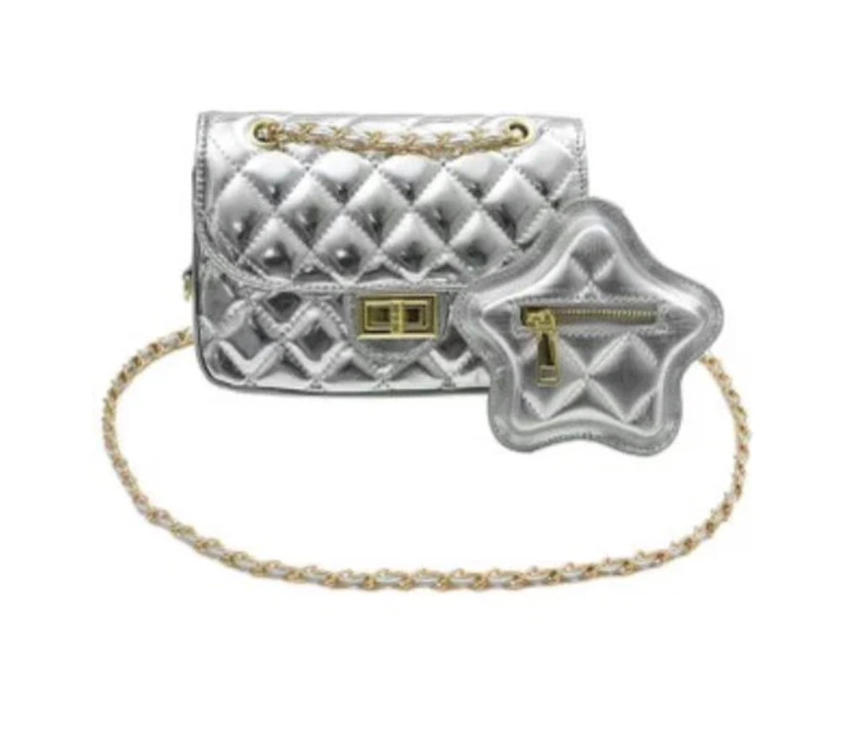 Esther Silver Handbag/Coin Purse