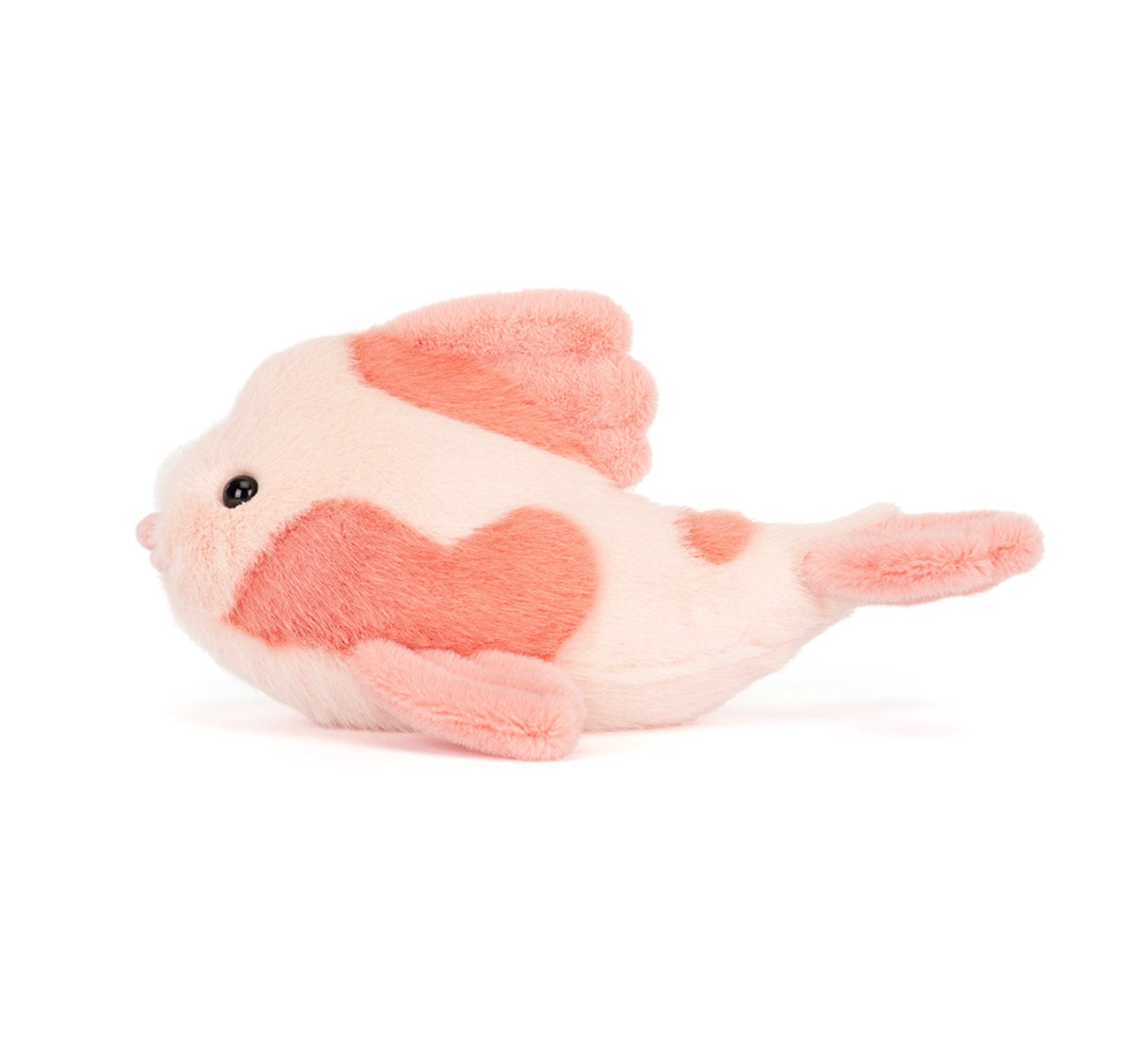 Fancy Carp
