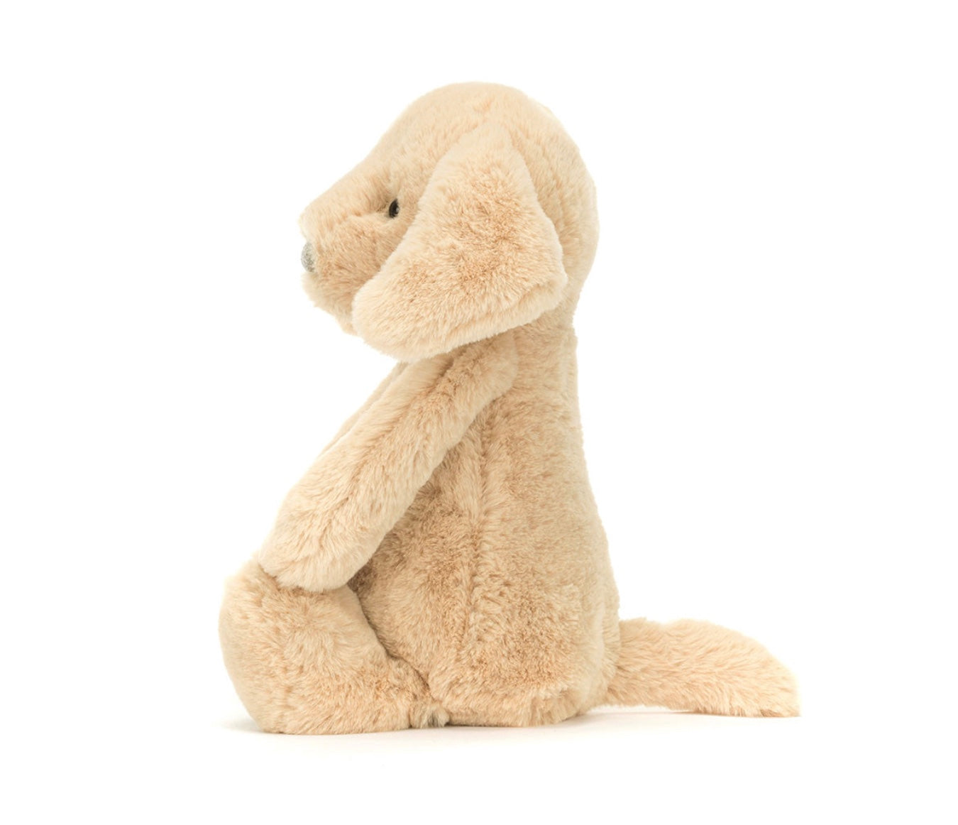 Bashful Luxe Puppy Orlando