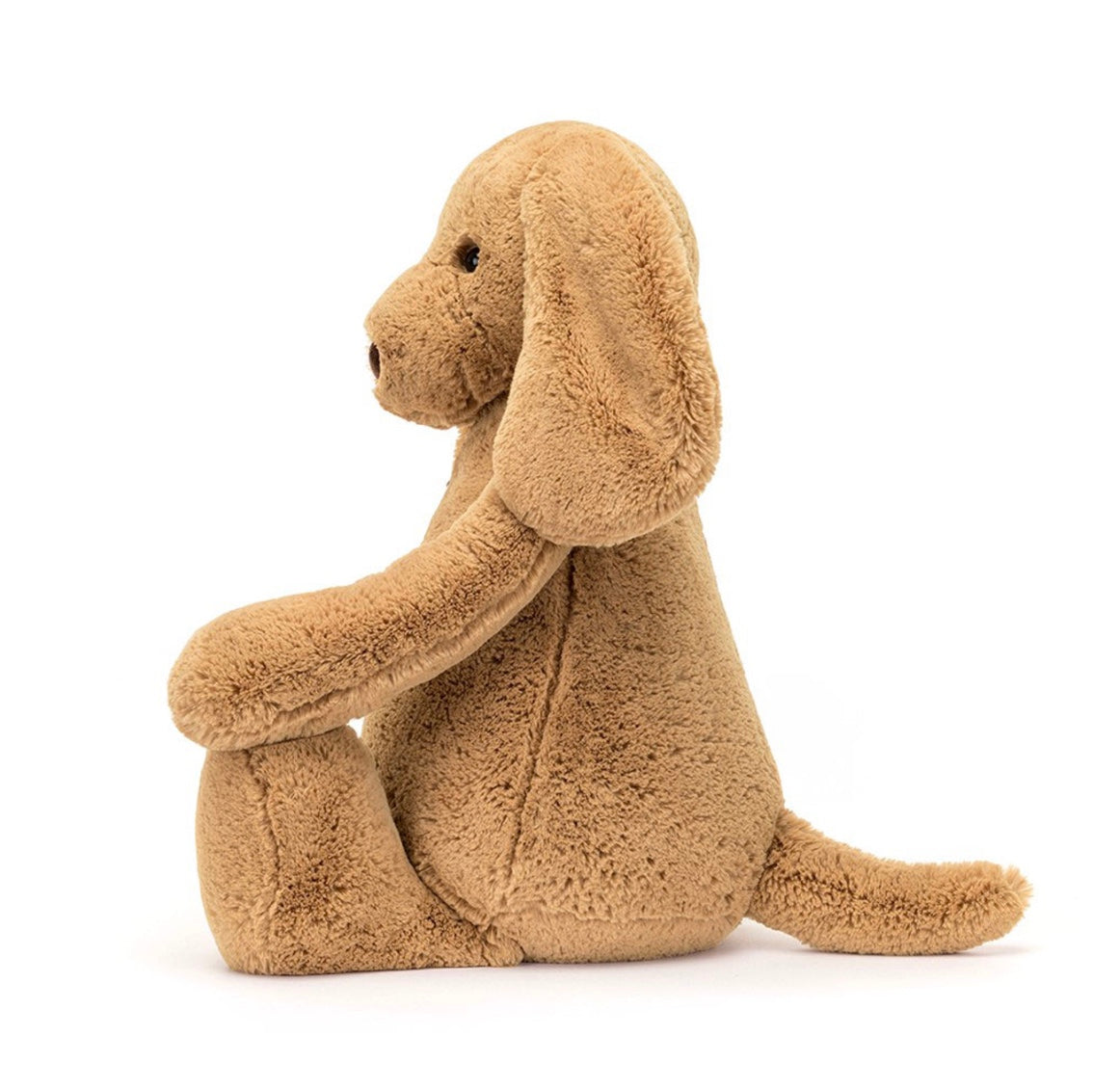 Bashful Toffee Puppy
