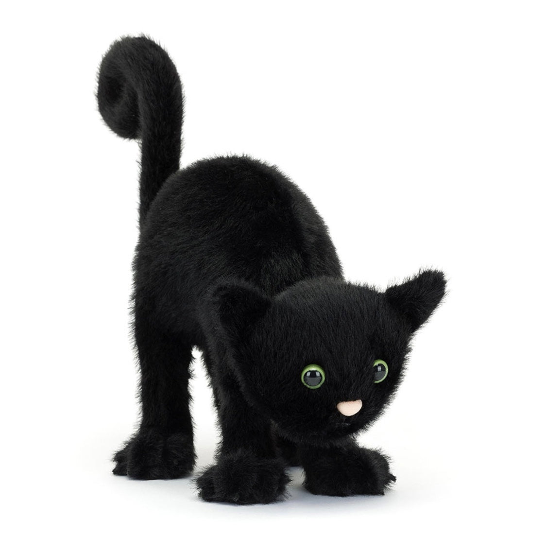 Spookipaws