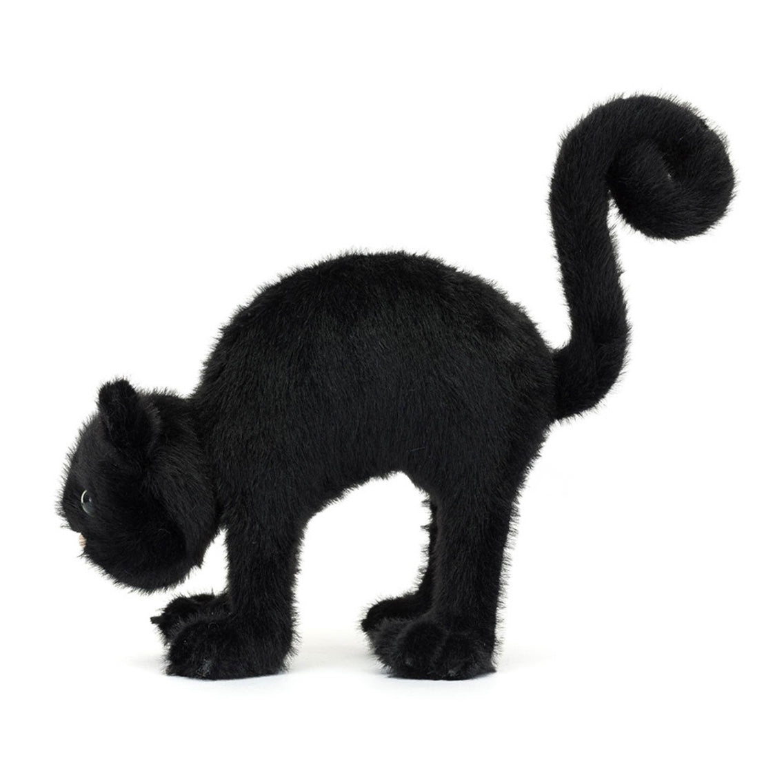 Spookipaws