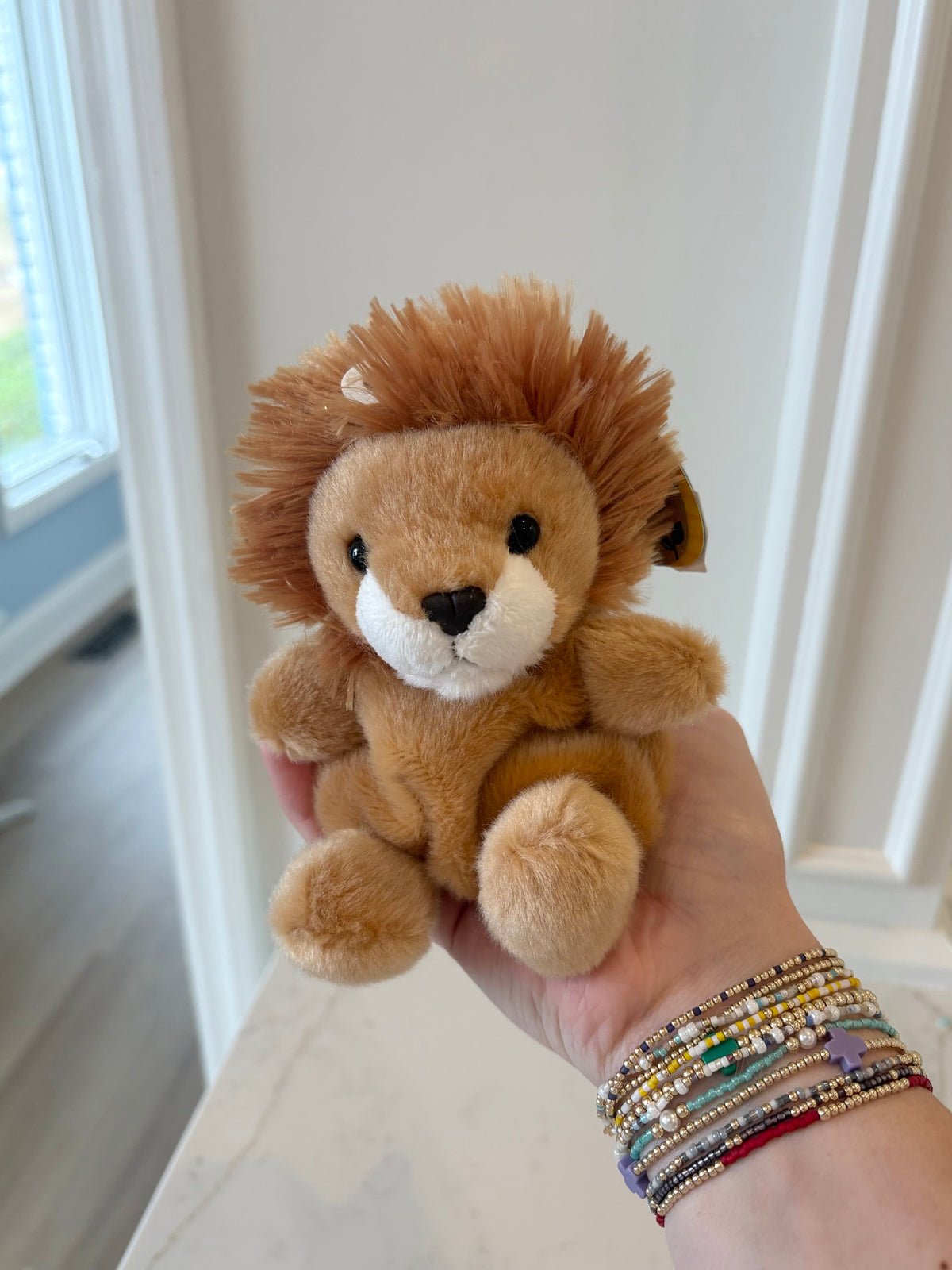 Lion Palm Pal
