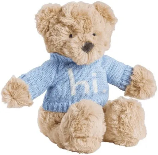 Blue “Hi” Bear