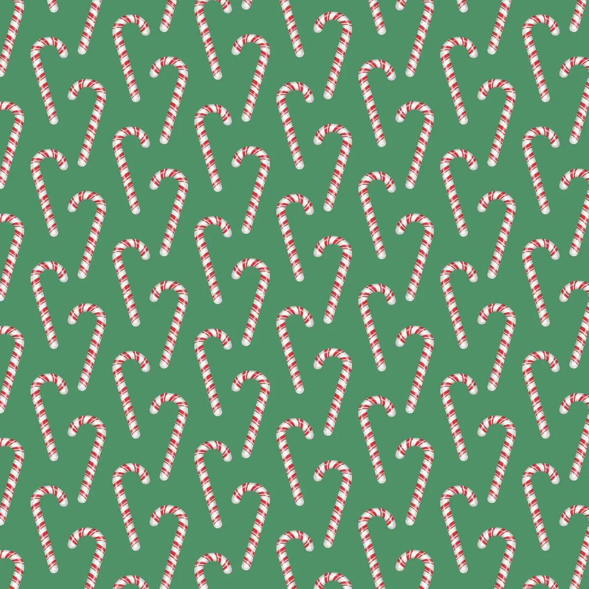 Candy Cane Lane Pants Set