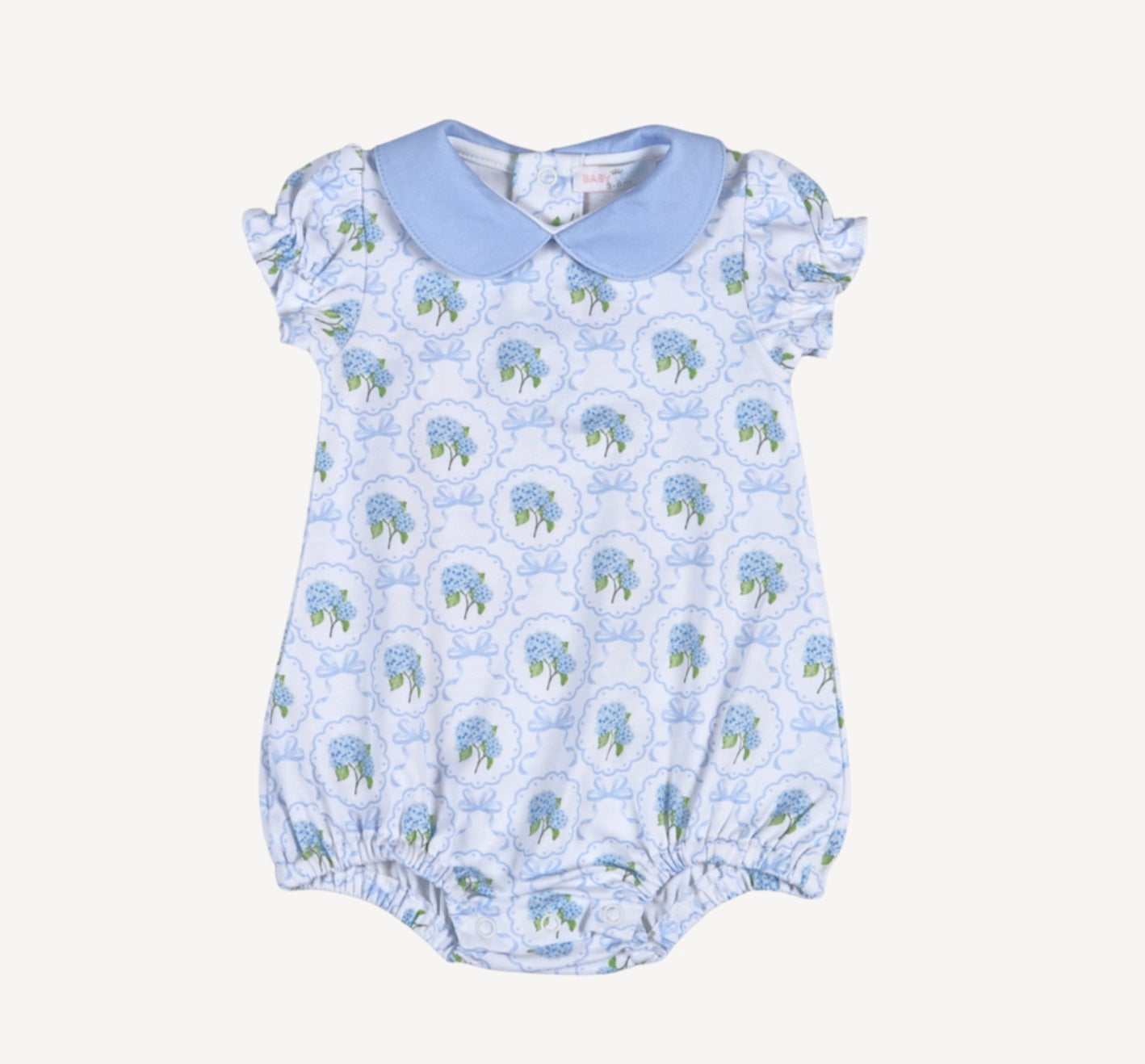 Molly Hydrangea Bubble