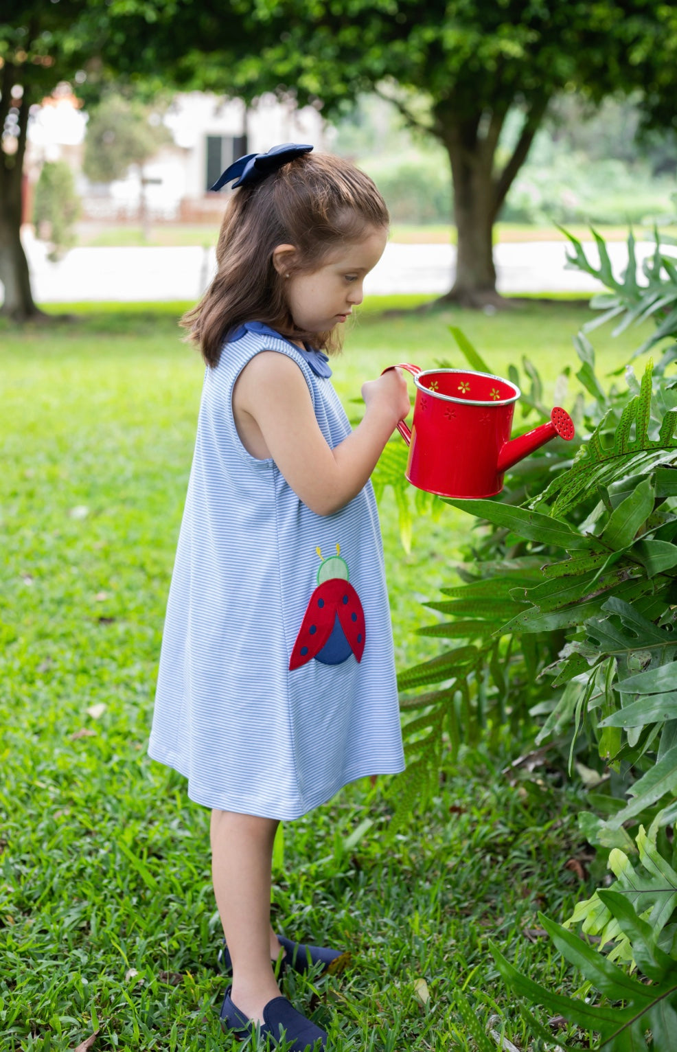 Reagan Ladybug Dress