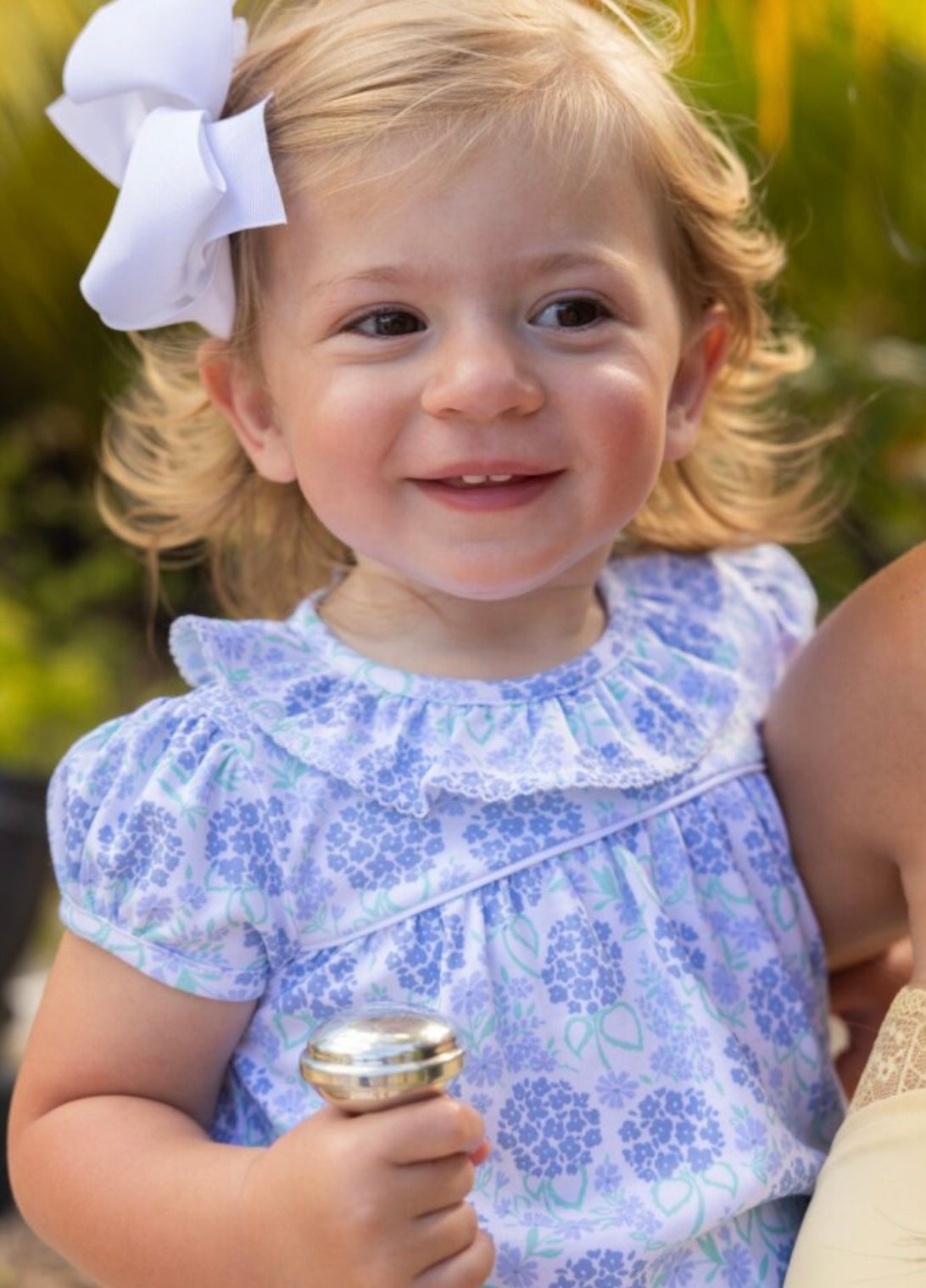 Handful of Hydrangea Bubble