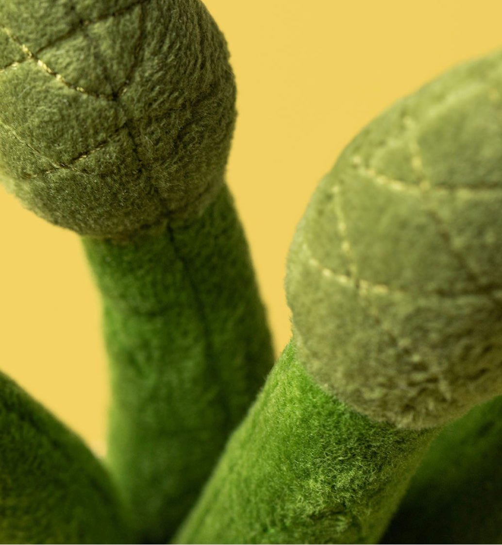 Amuseables Asparagus