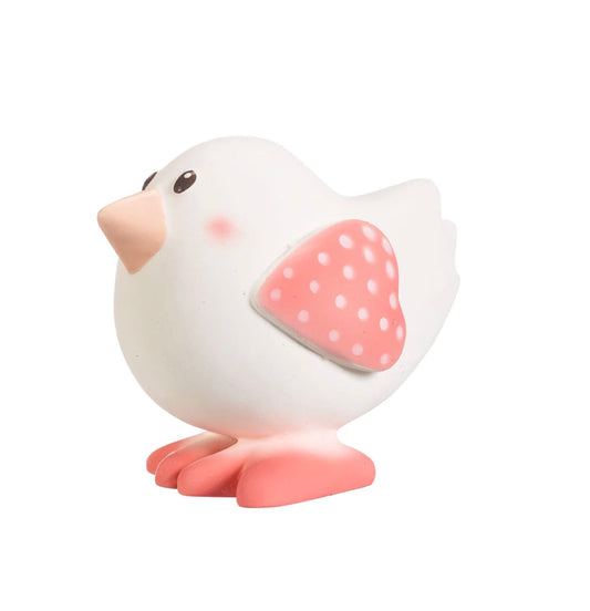 Kiwi The Bird