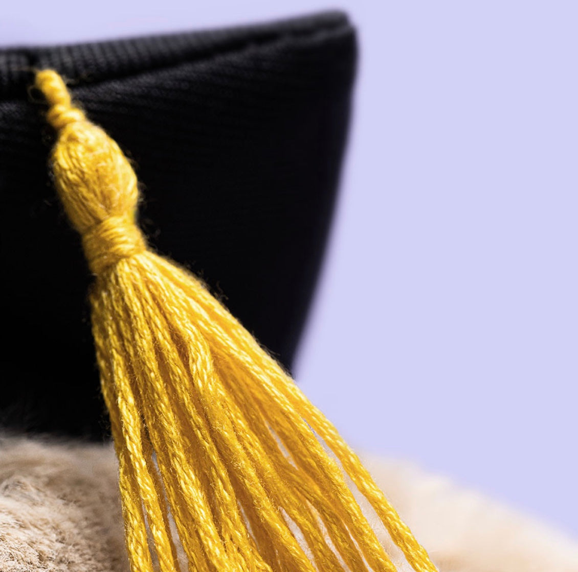 Bashful Bunny Graduation