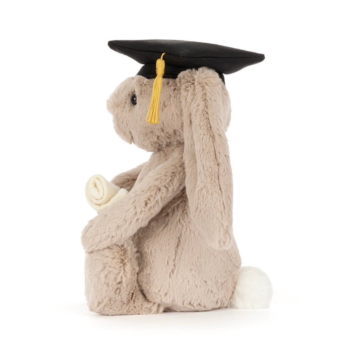 Bashful Bunny Graduation