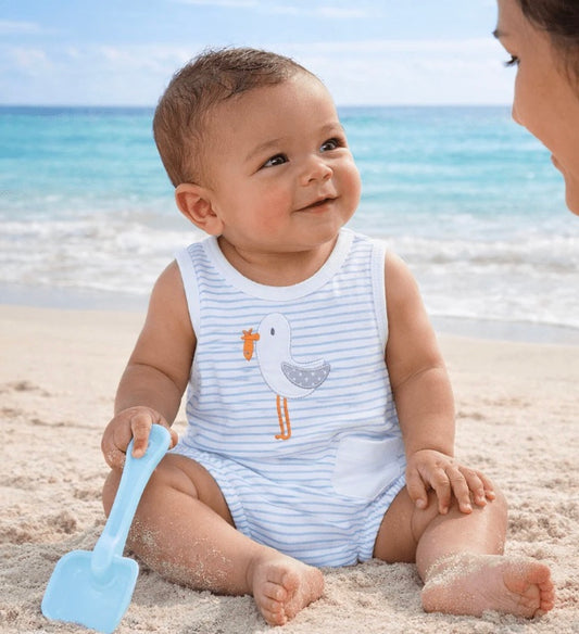 Seabird Shores Shortall