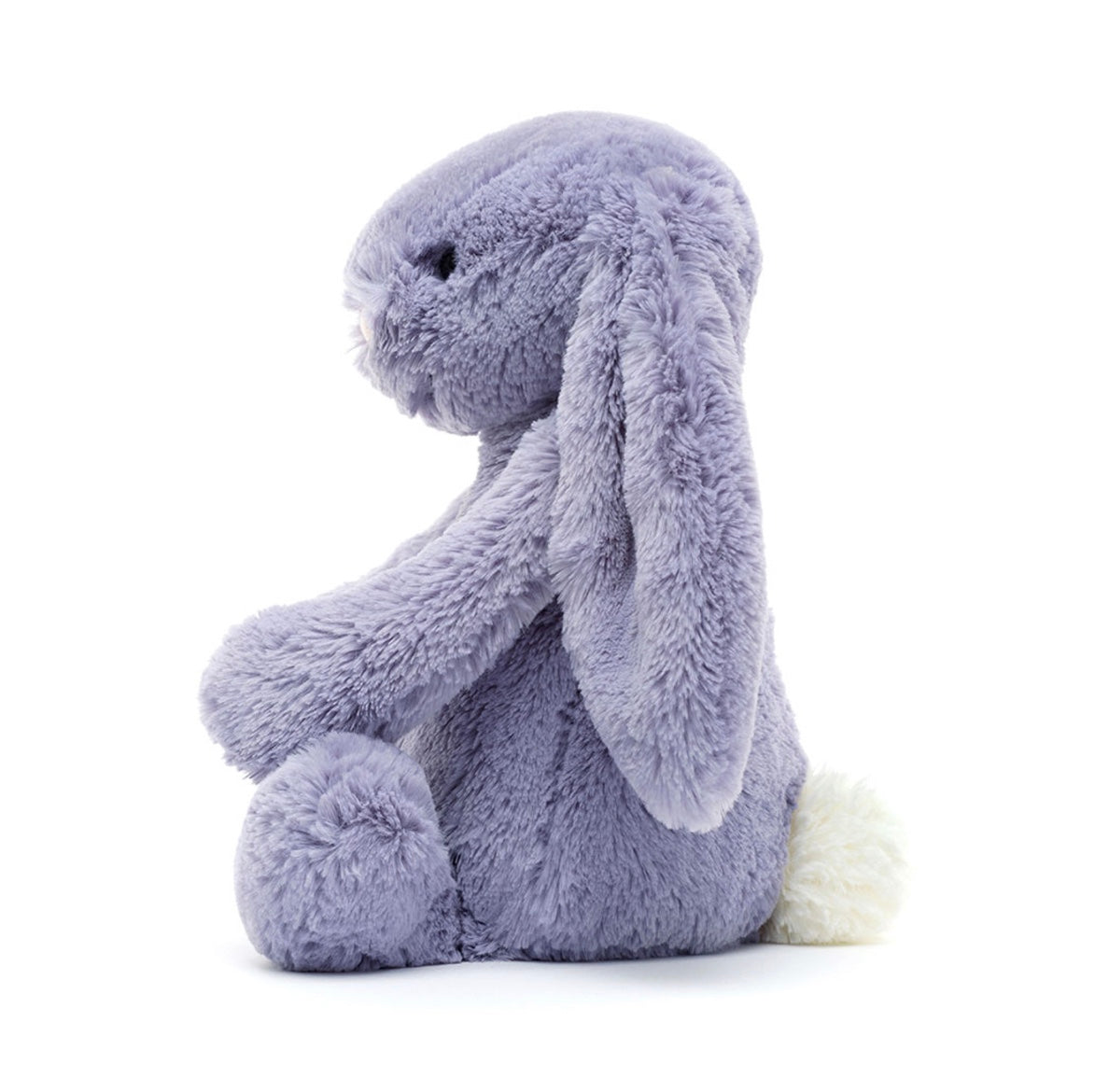 Bashful Viola Bunny