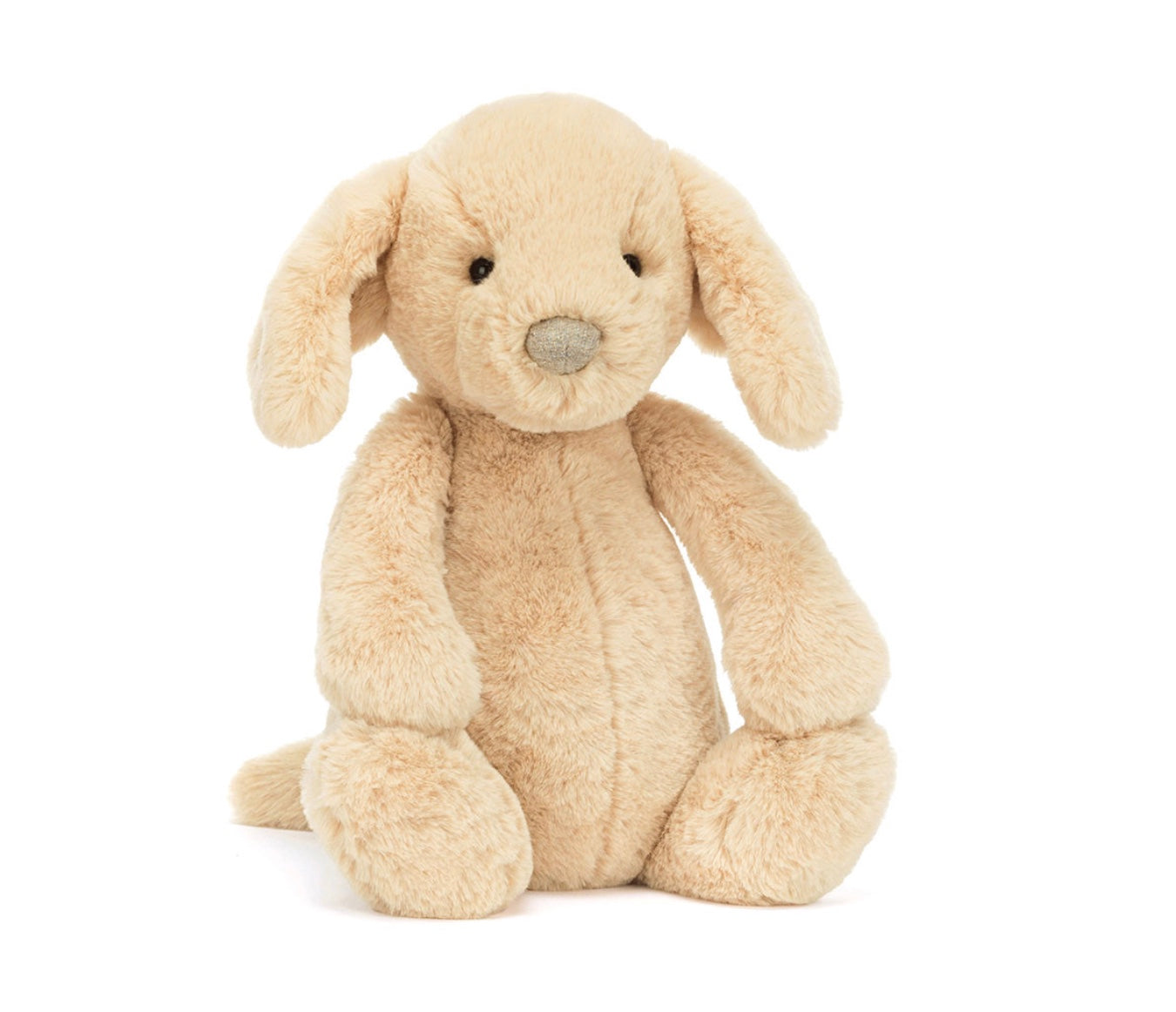 Bashful Luxe Puppy Orlando