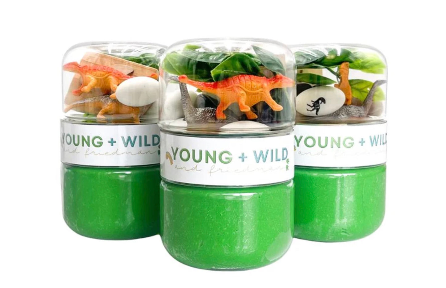Dinosaur Grab & Go Dough