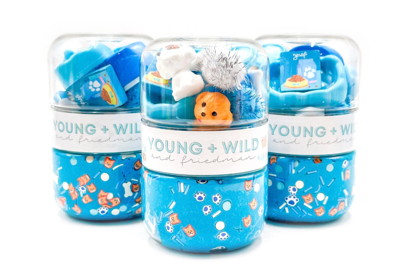 Pet Shop Grab & Go Dough Jar - Blue