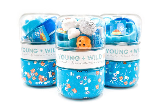 Pet Shop Grab & Go Dough Jar - Blue