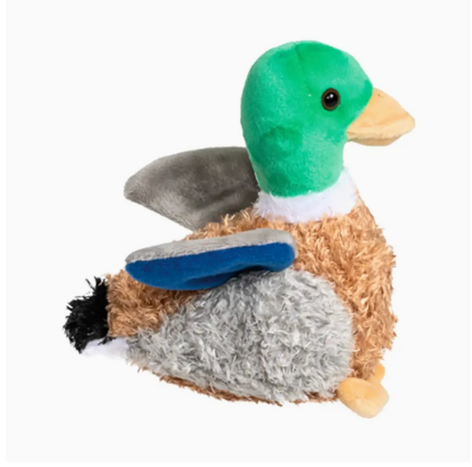 Boston Mallard with Sound