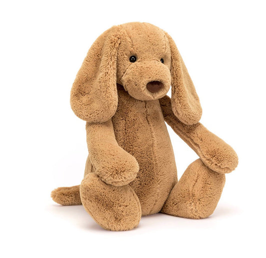 Bashful Toffee Puppy