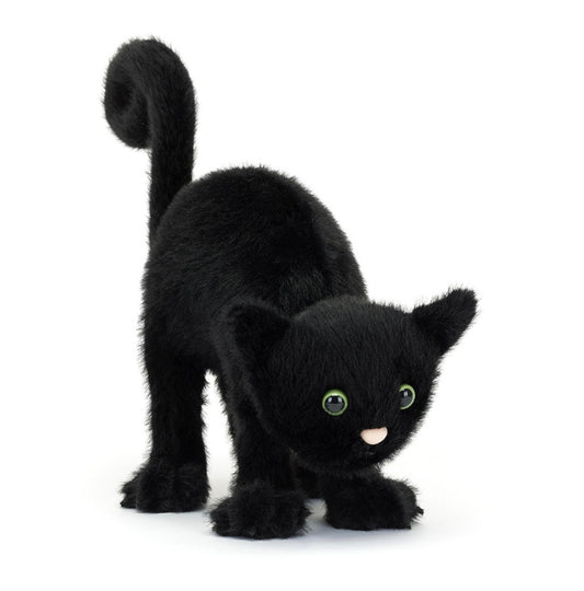 Spookipaws