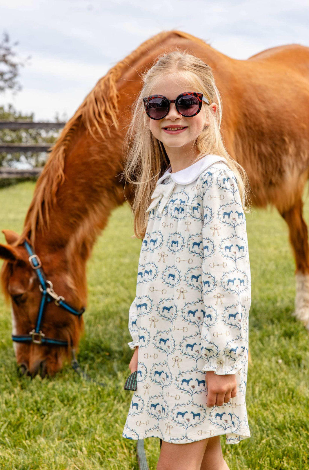 Banks Bow Dress - Horse Bits