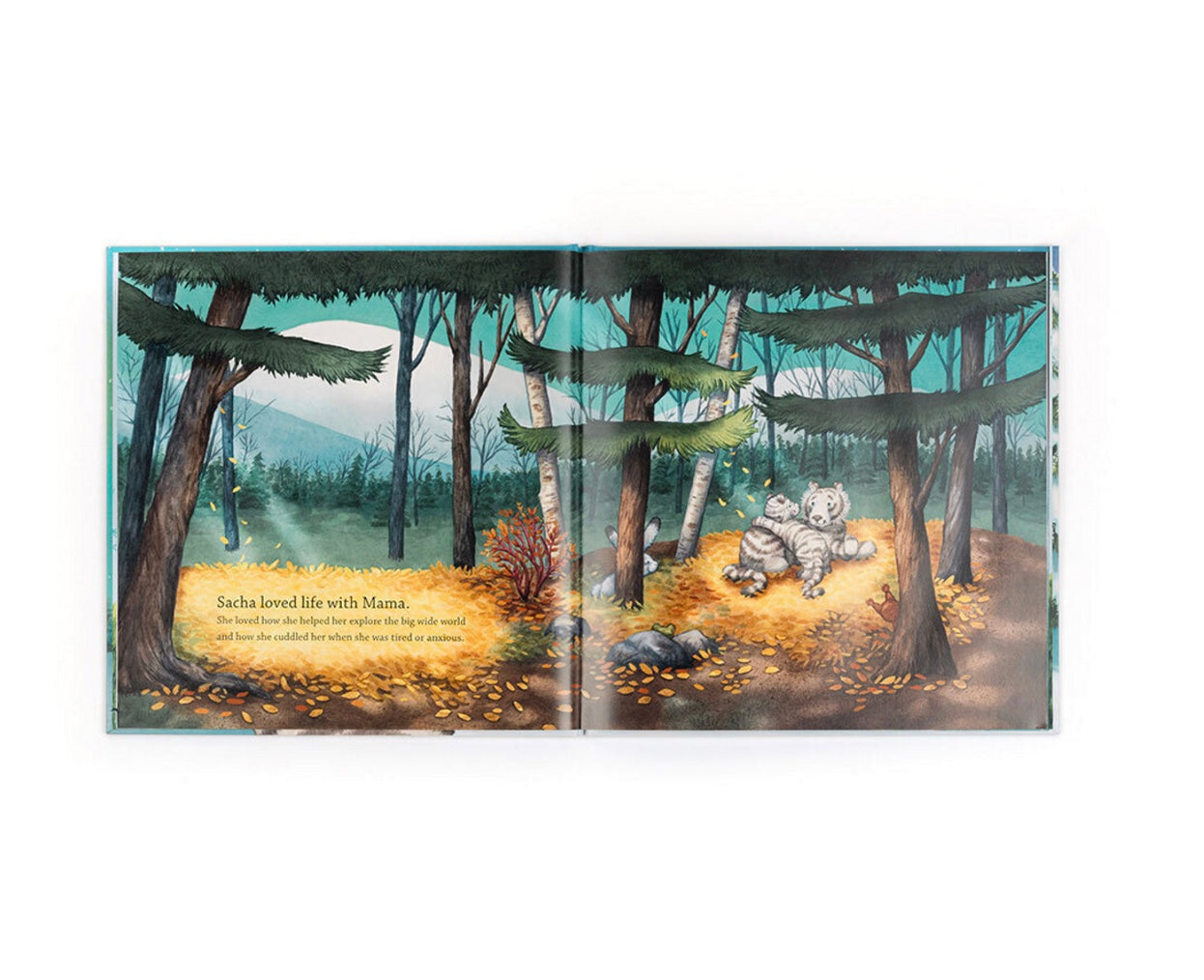 Sacha and the Most Wonderful Thing Book