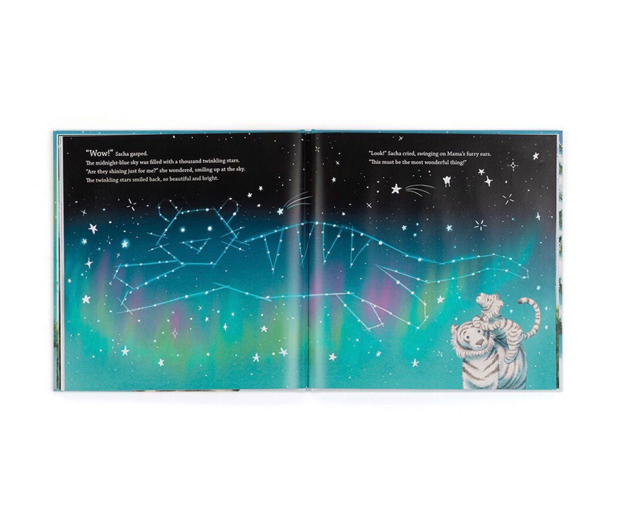 Sacha and the Most Wonderful Thing Book